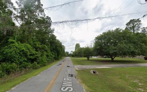 291 SW Pine Forest Court Lake City FL 32024