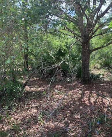 County Road 54 E Kathleen FL 33849