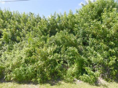 4273 SW Rosser Boulevard Port St Lucie FL 34953