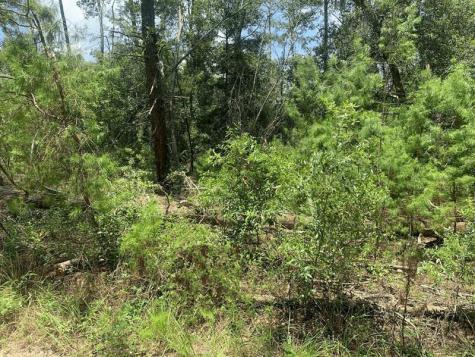 111 New York Avenue Satsuma FL 32148