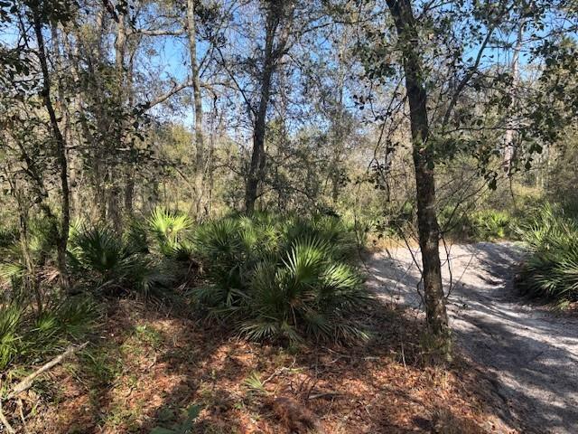 County Road 54 E Kathleen FL 33849