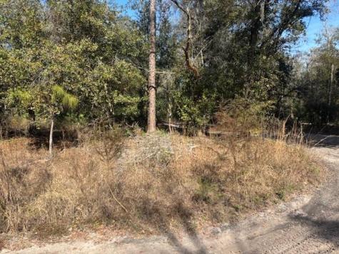 County Road 54 E Kathleen FL 33849
