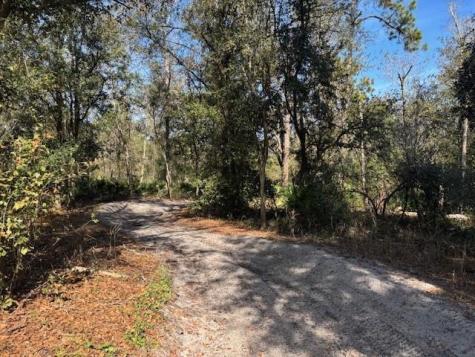 County Road 54 E Kathleen FL 33849