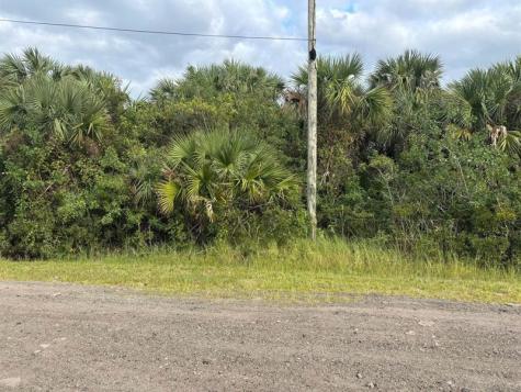 3223 SW Mockingbird Avenue Palm Bay FL 32908
