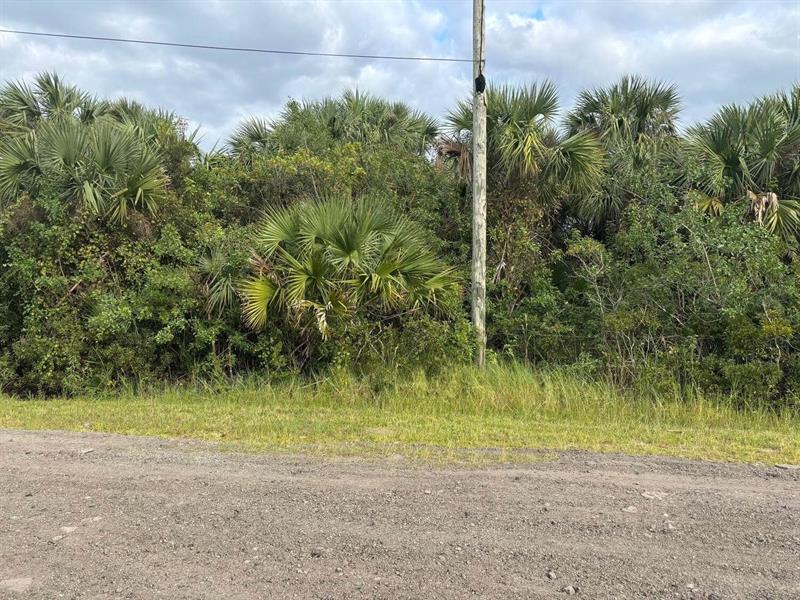3223 SW Mockingbird Avenue Palm Bay FL 32908