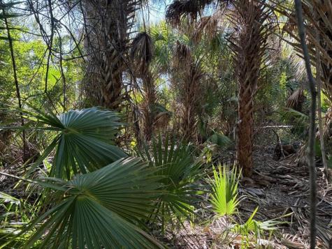 3223 SW Mockingbird Avenue Palm Bay FL 32908