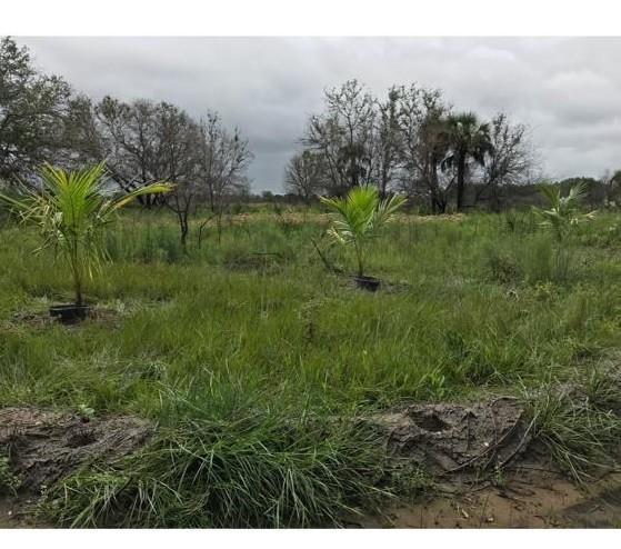 16120 NW 300th Street Okeechobee FL 34972