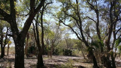 16120 NW 300th Street Okeechobee FL 34972