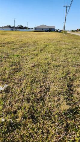 1724 Andalusia Boulevard Cape Coral FL 33909