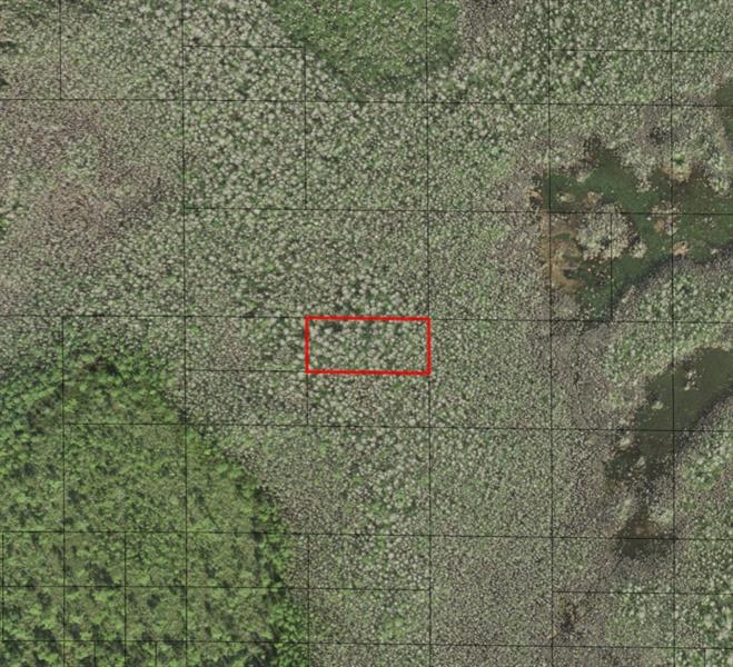 Holopaw Groves Road St. Cloud FL 34772