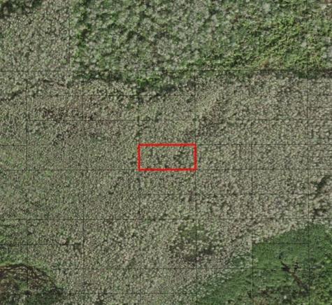 Holopaw Groves Road St. Cloud FL 34772
