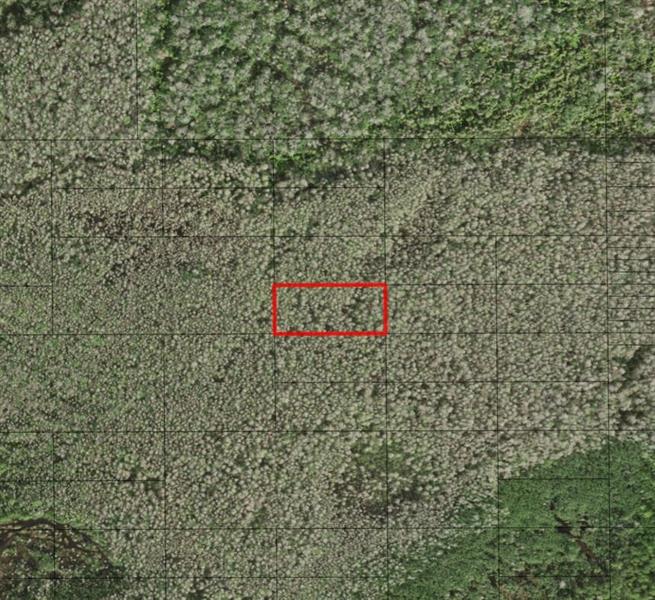 Holopaw Groves Road St. Cloud FL 34772