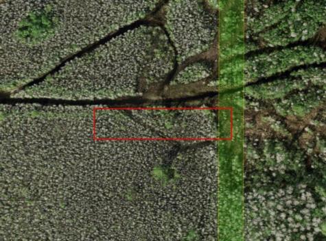 Holopaw Groves Road St. Cloud FL 34772