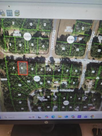 1248 W G Martinelli Boulevard Citrus Springs FL 34434
