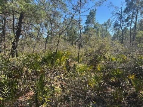 10681 Interlacher Drive Sebring FL 33852