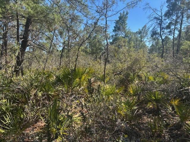 10681 Interlacher Drive Sebring FL 33852