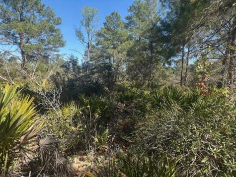 10681 Interlacher Drive Sebring FL 33852