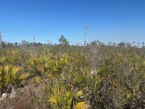 Highway 630e Frostproof FL 33843