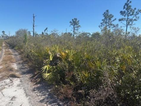 Highway 630e Frostproof FL 33843