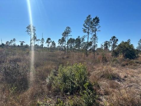 Highway 630e Frostproof FL 33843