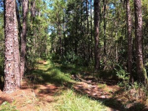 Old Grade Road Other City - In The State Of Florida FL 33868