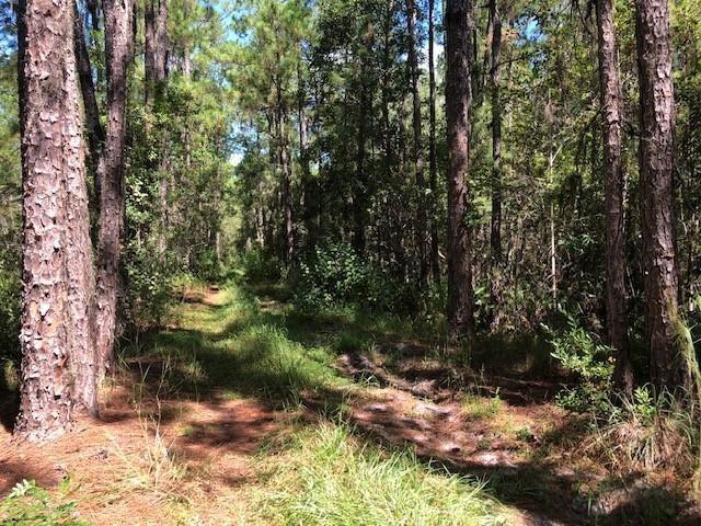 Old Grade Road Other City - In The State Of Florida FL 33868