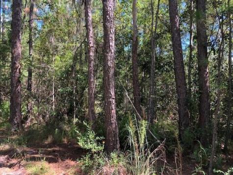 Old Grade Road Other City - In The State Of Florida FL 33868