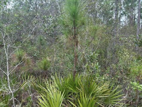 Old Grade Road Other City - In The State Of Florida FL 33868