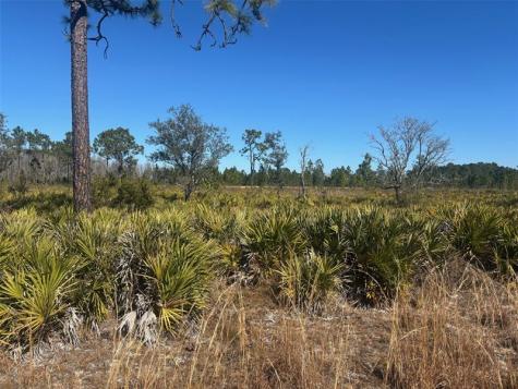 Xeriscape Nursery Road Frostproof FL 33843
