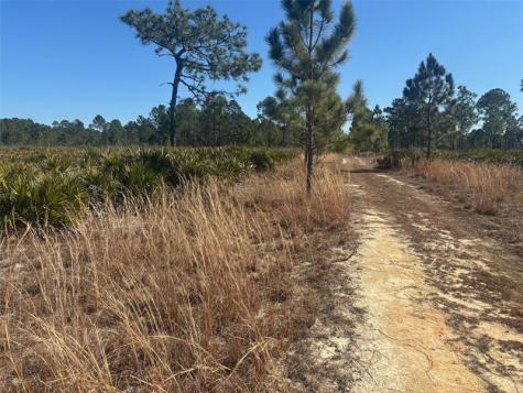 Xeriscape Nursery Road Frostproof FL 33843