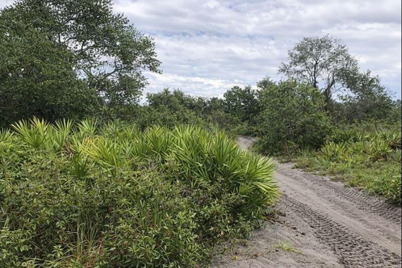 Alturas Babson Park Cutoff Road Lake Wales FL 33859