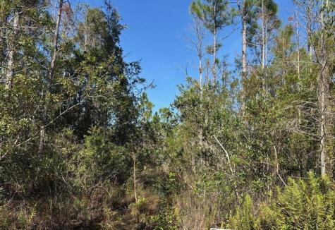 Holopaw Groves Road St. Cloud FL 34772