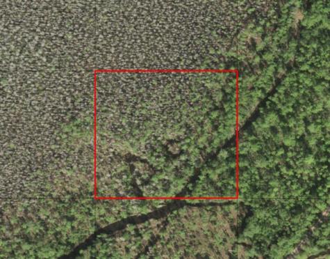 Holopaw Groves Road St. Cloud FL 34772