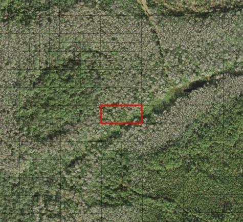 Holopaw Groves Road St. Cloud FL 34772