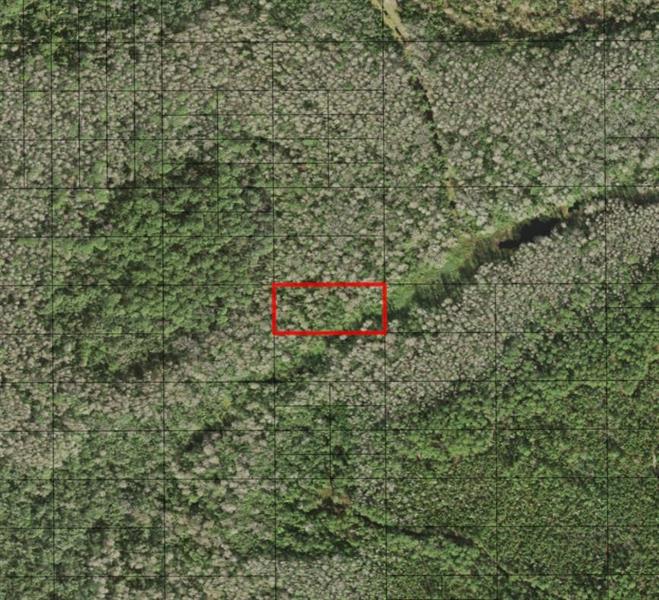 Holopaw Groves Road St. Cloud FL 34772