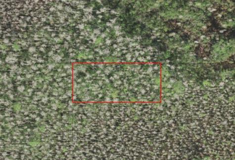 Holopaw Groves Road St. Cloud FL 34772