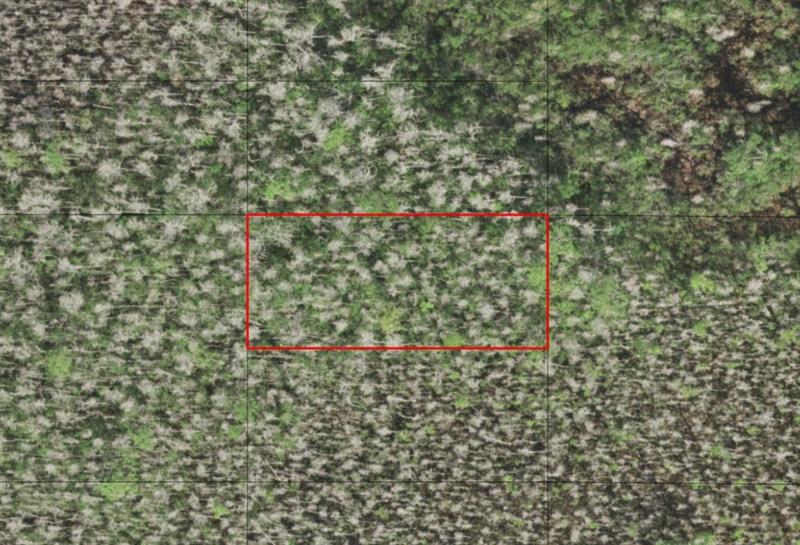 Holopaw Groves Road St. Cloud FL 34772