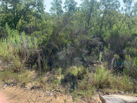 Manatee Street Interlachen FL 32148