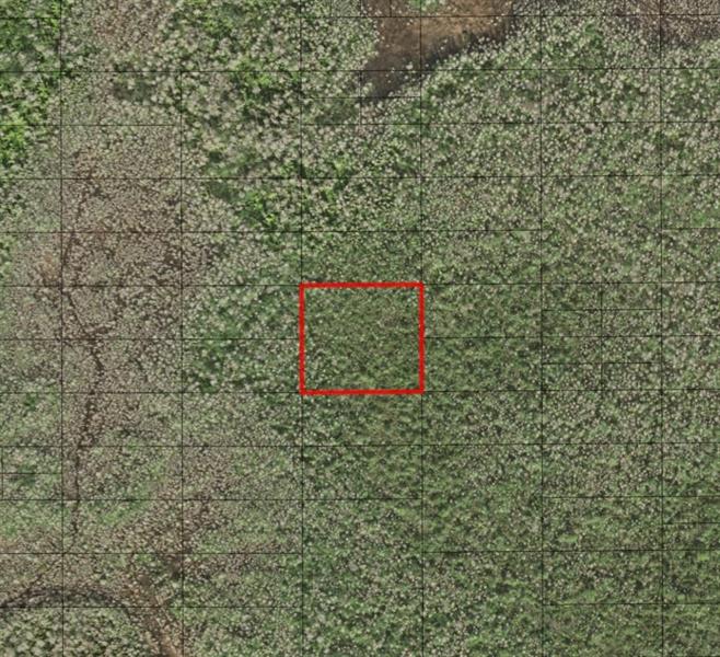Holopaw Groves Road St. Cloud FL 34772