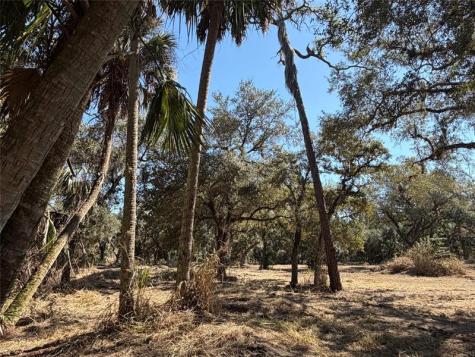 TBD SE 40th Avenue Okeechobee FL 34974