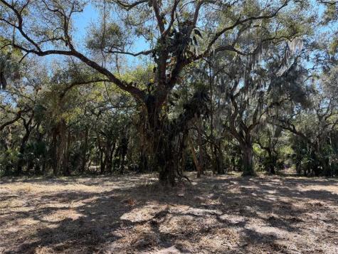 TBD SE 40th Avenue Okeechobee FL 34974