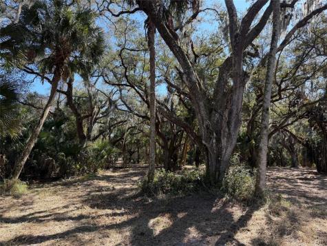 TBD SE 40th Avenue Okeechobee FL 34974