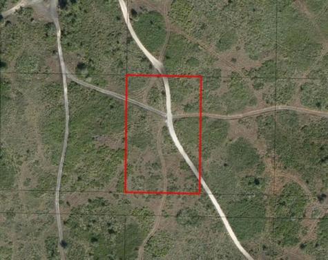 NW 318th Street Okeechobee FL 34972