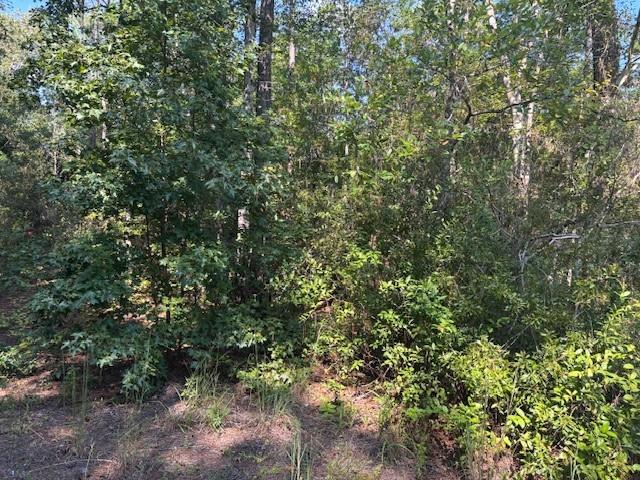 SE 8th Avenue Palatka FL 32177