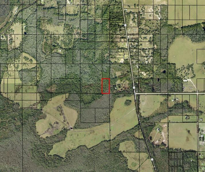 Alligator Road Clermont FL 33868