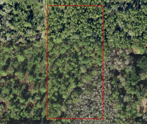 Alligator Road Clermont FL 33868