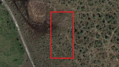 NW 310th Street Okeechobee FL 34972