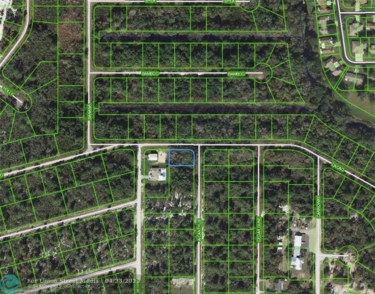 1218 Ailanthus Street Lake Placid FL 33852