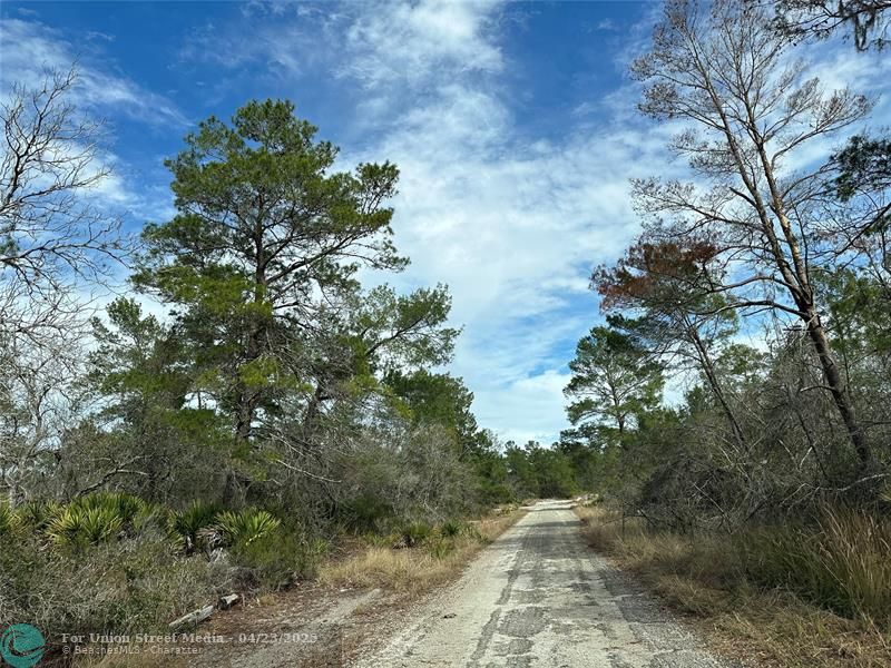 4508 Briarcliff Avenue Sebring FL 33875