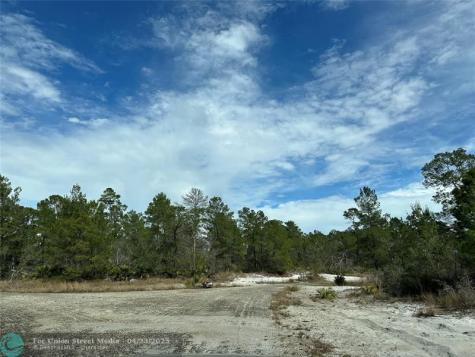 4508 Briarcliff Avenue Sebring FL 33875